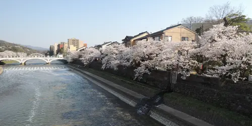 Kazue Neighborhood - Asano