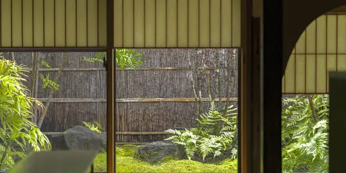 HG2_garden2