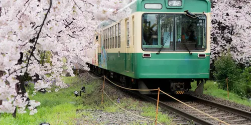 ... Or many other trains and buses all over Japan!