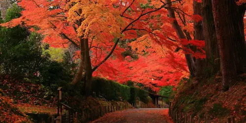 Chuson-ji temple in Hiraizumi - UNESCO World heritage