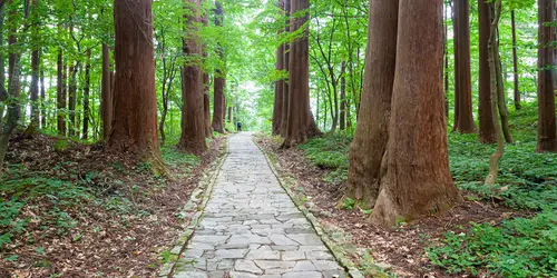 Le chemin de pélerinage du mont Haguro, Dewa Sanzan, Tohoku, Japan