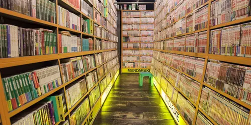 Manga bookshop Mandarake in Akihabara