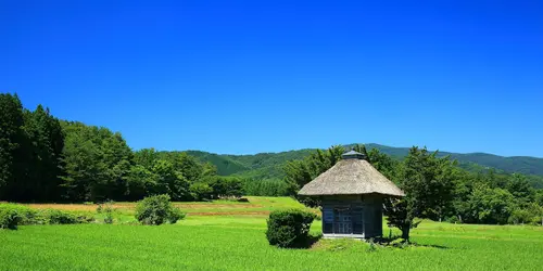 Shrine in rice field in Tono area