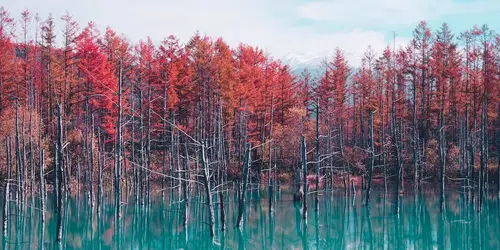 Blue Pond in Hokkaido