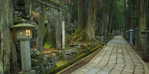 A path through the Okunoin ancient Buddhist cemetery in Koyasan
