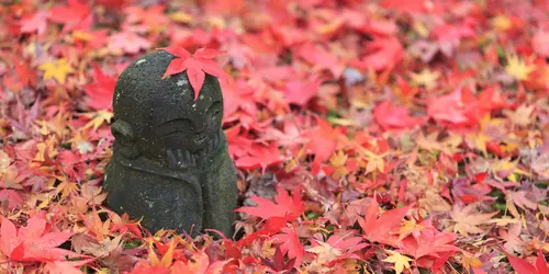 Jizo statue in Enko-ji temple in autumn, Kyoto