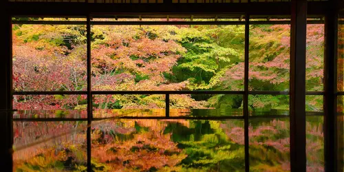 Temple in Kyoto with amazing autumn foliage
