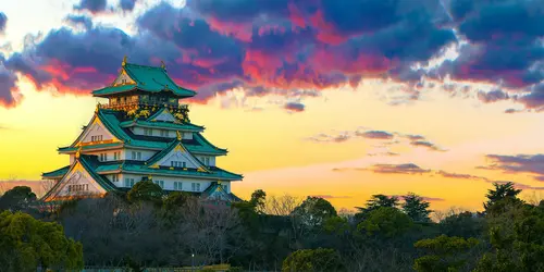 El castillo de Osaka está rodeado por un parque lleno de cerezos y ciruelos