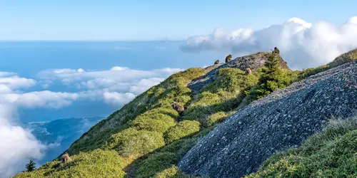 Nagata - Yakushima
