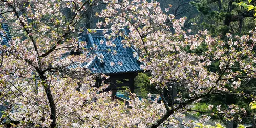 Shikoku-temple-10