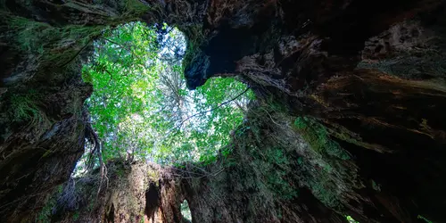 Yakushima