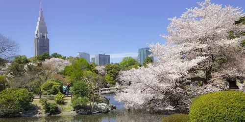 Parc de Shinjuku