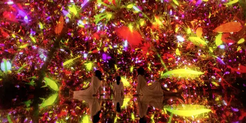 big-ticket-image-659e3e9eee189745660059-thumbnail-360x240.jpg