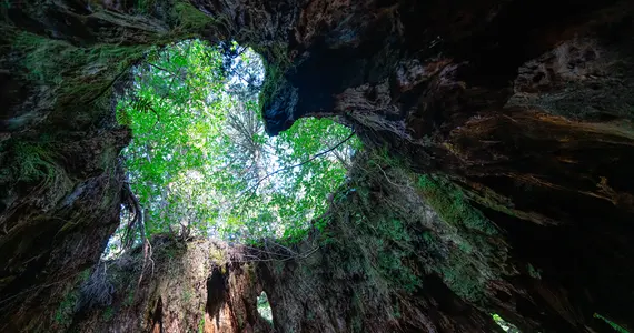 Yakushima